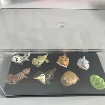 하츄코토 세트 판매