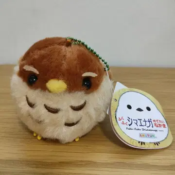 복복 시마연가 타카시 봉제 인형 약 10cm 택 포함