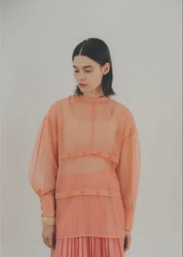 CLANE 3ARRANGE SHEER TOPS