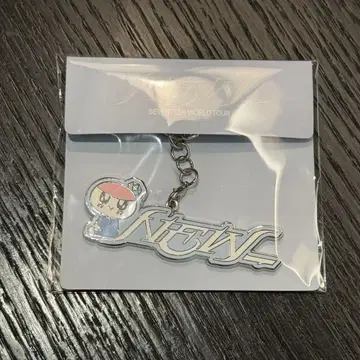 seventeen 세부치 모자 꽁지 키링