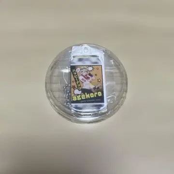 스트그라 레이서 캔 아크릴 키링 아게코로