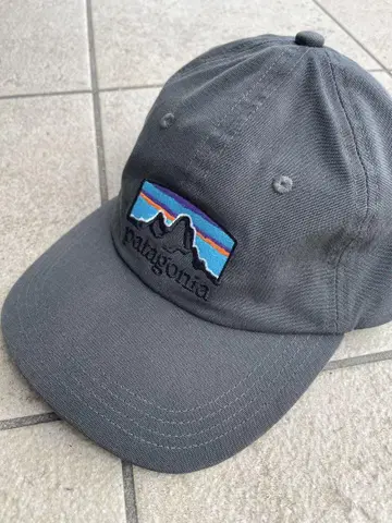 [레어] Patagonia 그레이 캡