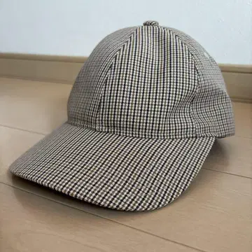APC 체크 캡
