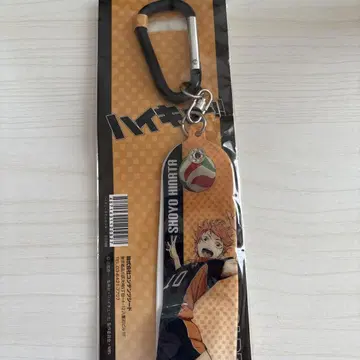 하이큐 히나타 쇼요