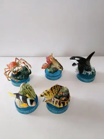 에노시마 수족관 해양 생물 피규어 5체 세트 범고래 외