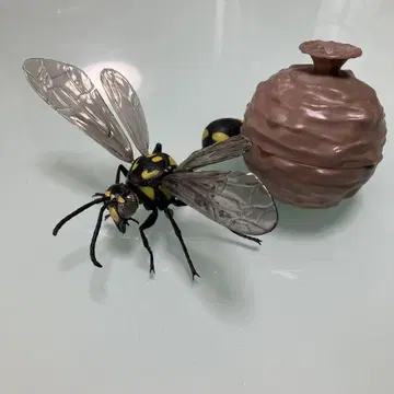 반다이 멧돼지 캡슐 토이 생물대도감