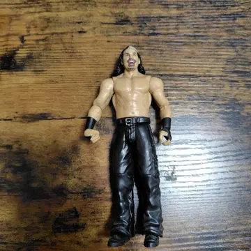 WWE 매트 하디 피규어