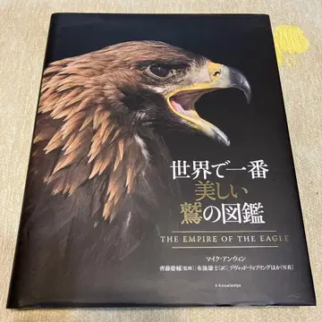 세상에서 가장 아름다운 독수리 도감