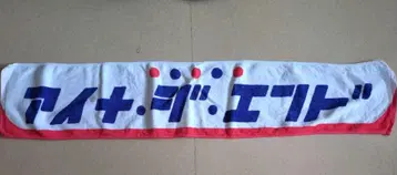 아이나지엔드 타월