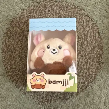 NCT DREAM LINE FRIENDS 지성 bamjji 봉제 인형