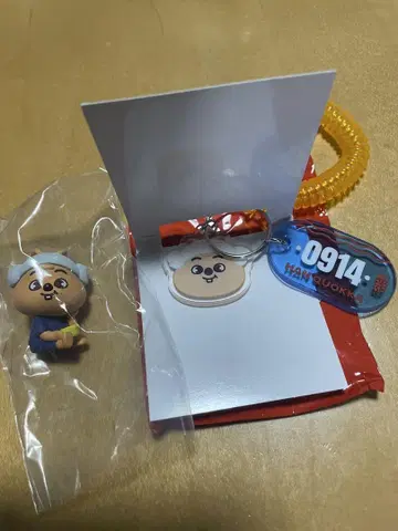 SKZOO 사우나