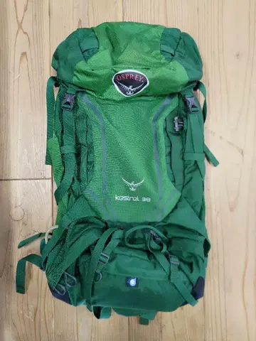 Osprey Kestrel 38 그린 백팩