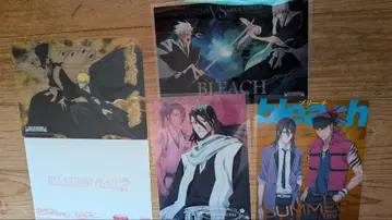 BLEACH 클리어 서울 플레이트