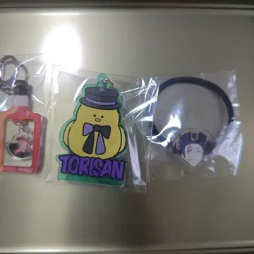 금생 토리우미 코스케