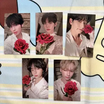 한국 TXT 사전 녹화 tomorrow 포토카드 투바 투바 전원 5장