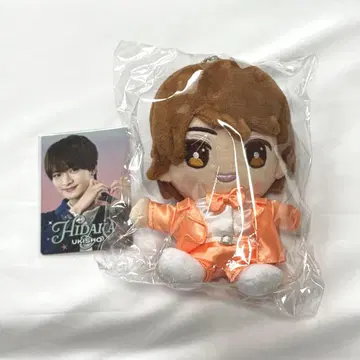 우키쇼 히다카 하피누이 프로카 세트