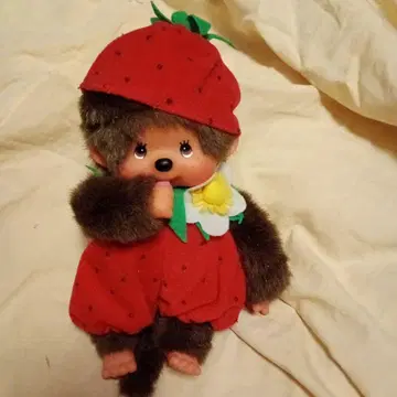 후르츠 몽치치 딸기