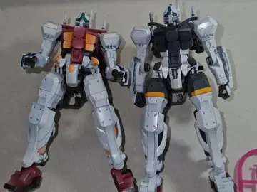 HG-겔구그 (스가이 기체) + (보카타 기체) 전체 도색 완성품 세트