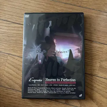 Laputa Heaven to Perfection DVD