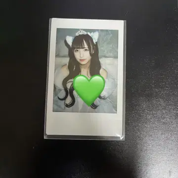 iLiFE! 와카바노아 생탄 란체키
