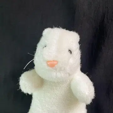 미니 반려동물 클럽 나의 햄스터