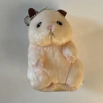 스케로쿠 스케로쿠의 일상 마스코트 손한빈 zb1 봉제 인형