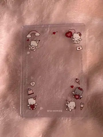 산리오 에뚜왈 에그리오트 니야니뉴니에뇽 경질 케이스