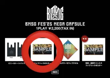 BMSGFES'25 메가 캡슐