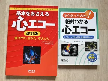 양토사 심장 에코 2권 세트