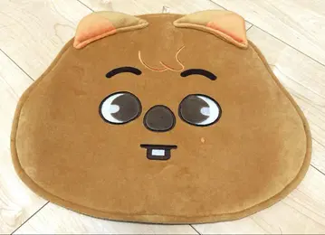 stray kids HAN 부채 커버