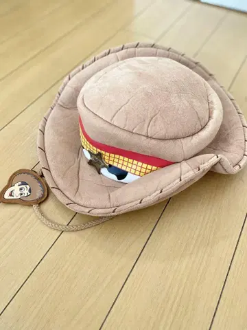우디 모자 디즈니 팬캡
