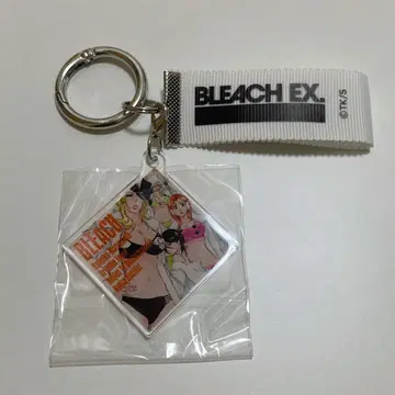 BLEACH 레코드 자켓 키체인 컬렉션