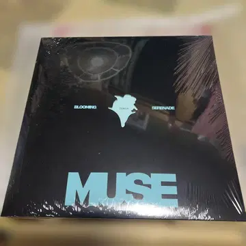 BTS 지민 MUSE 아날로그반