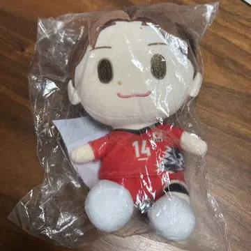 이시카와 유키 선수 봉제 인형