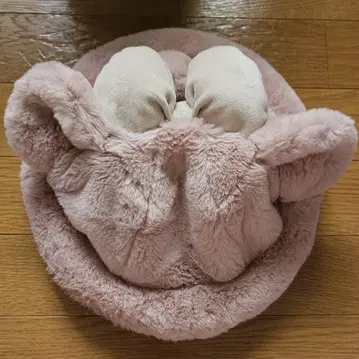셰리메이 모자