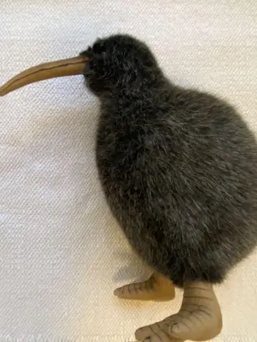 리얼한 블랙 키위 봉제 인형 약 20cm