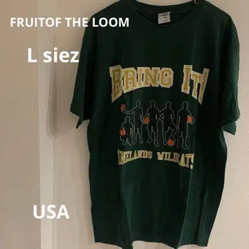 FRUITOF THE LOOM 남성용 T셔츠 USA
