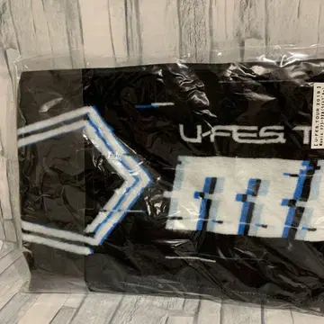 HIKAKIN & SEIKIN, 피셔즈 등 U-FES 라이브 타월