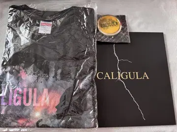 칼리굴라 굿즈 팜플렛 티셔츠 XL 사이즈 거울 스다 마사키