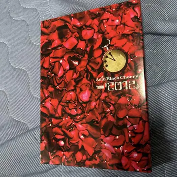 Acid Black Cherry TOUR 2012 DVD 새상품급