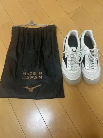모렐리아 IN
