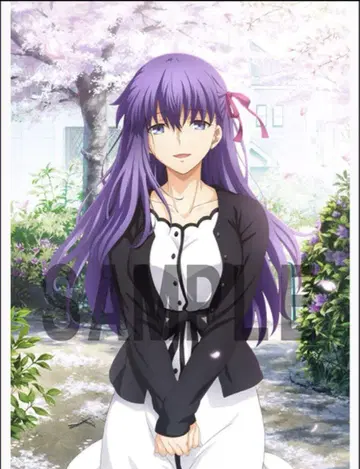 Fate heavensfeel 벚꽃 태피스트리 특전 Blu-ray