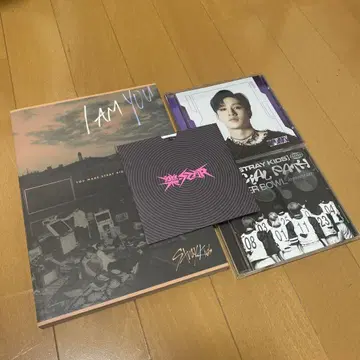 Stray Kids I AM YOU & SOCIAL PATH