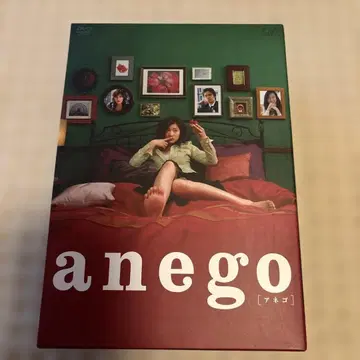아네고 DVD-BOX (4)