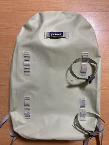Patagonia (파타고니아) 가이드 워터 백팩 29L