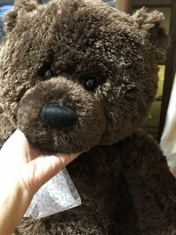 테디베어 커다란 베어 봉제 인형 안고 다니는 인형