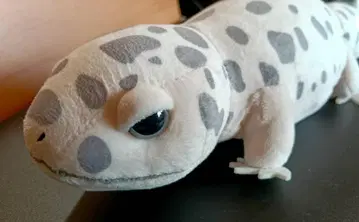 [39] 레오파 봉제 인형 레오파의 키이짱