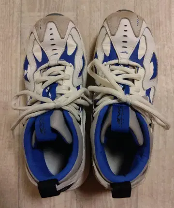 Reebok DMX