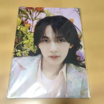 정한 프리미엄 사진