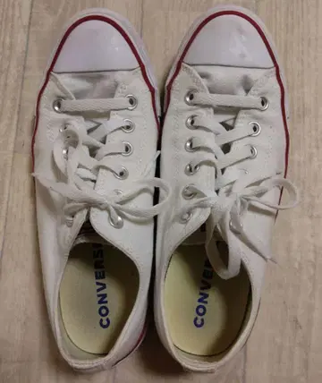 CONVERSE 올스타 화이트
